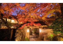 Akizuki Onsen Seiryuan