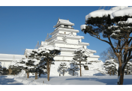 Tsuruga Castle