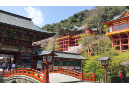 Yutoku Inari Shrine