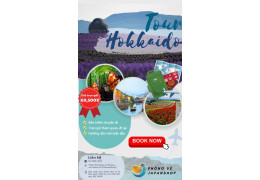 THIÊN ĐƯỜNG LAVENDER - TOUR HOKKAIDO