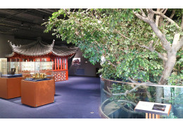 Bảo tàng trà Fujinokuni