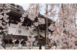 Minobusan Kuon-ji Temple