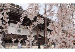 Chùa Minobusan Kuon-ji