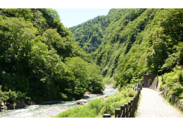 Kiyotsu Gorge