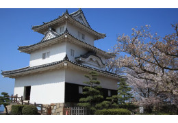 Marugame Castle