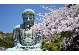 The Great Buddha of Kamakura and Kotoku-in