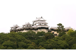 Lâu đài Matsuyama