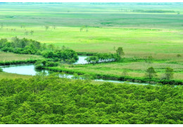 Kushiro Swamp