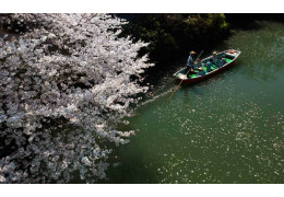 Yanagawa River Cruising