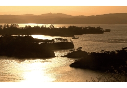 Matsushima Bay Cruise