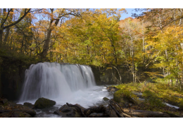 Oirase Gorge