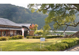 The Giant Camphor Park of Kawago