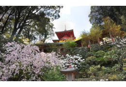 Kouyaji Temple