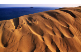 Tottori Sand Dunes