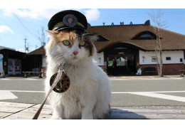 Wakayama Electric Railway's Kishigawa Line