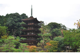 Rurikoji Temple Five-Storied Pagoda